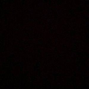 Meet your Posher, Karlee